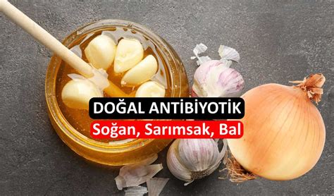 doğal antibiyotik soğan sarımsak bal